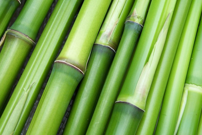 bambu-slider